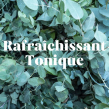 Déodorant Solide Menthe Eucalyptus