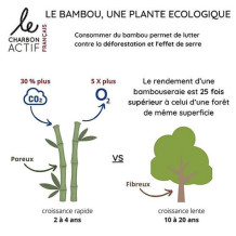 Charbon de bambou français – Filtre à eau naturel – Le Char…