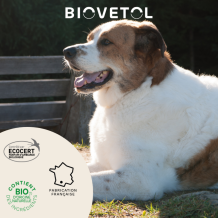 Lotion Destruct’Urine Chien Bio