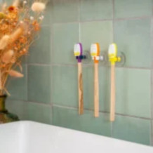 Porte brosse à dents ventouse – Apimani