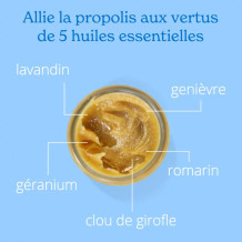 Baume des 4 Saisons Certifié Bio Propolis, Lavandin & Romarin