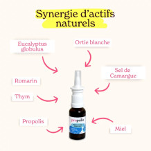 Spray Nasal Purifiant - Propolis & Sel de Camargue