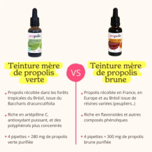 Teinture Mère de Propolis Brune Ultra Concentrée