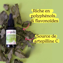 Teinture Mère de Propolis Verte Bio