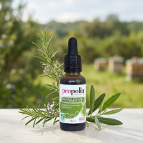 Teinture Mère de Propolis Verte Bio