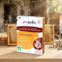 Gommes de Propolis