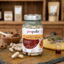 Gélules de Propolis Brune - Propolis Ultra