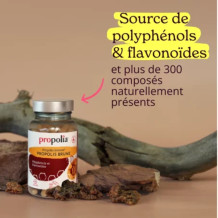 Gélules de Propolis Brune - Propolis Ultra