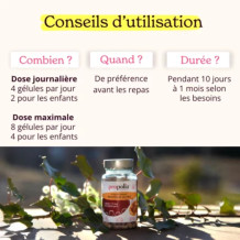 Gélules de Propolis Brune - Propolis Ultra