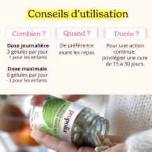 Gélules de Propolis Verte Bio