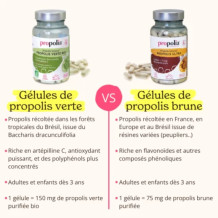 Gélules de Propolis Verte Bio