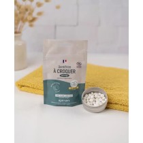 Recharge de 120 pastilles à croquer menthe – Apimani
