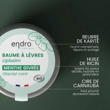 BAUME À LÈVRES MENTHE – Endro