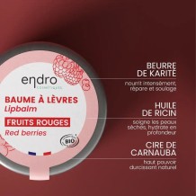BAUME À LÈVRES FRUITS ROUGES – Endro