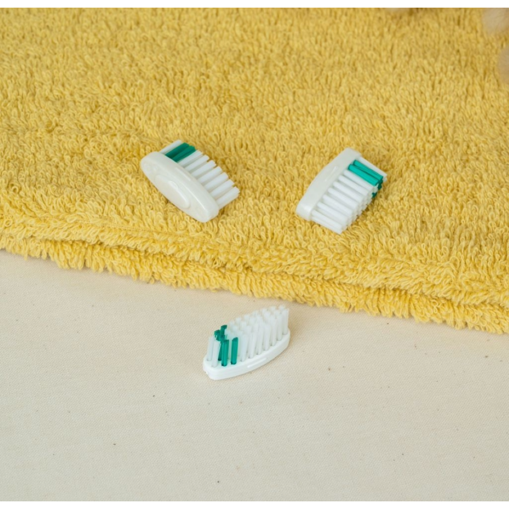 Tête rechargeable souple – Hygiène dentaire