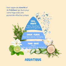 Parfum de Lessive  - Senteur Aquatique
