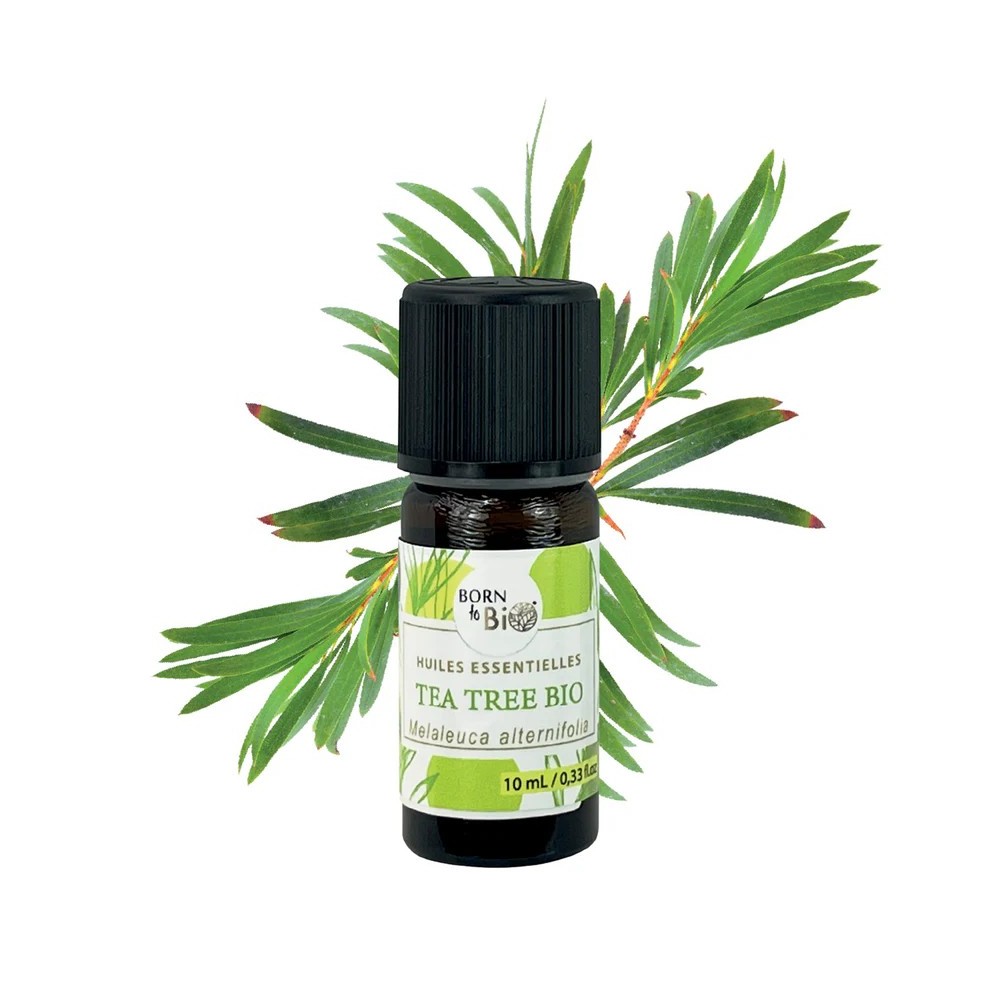 Huile Essentielle Tea Tree -  Certifiée Bio
